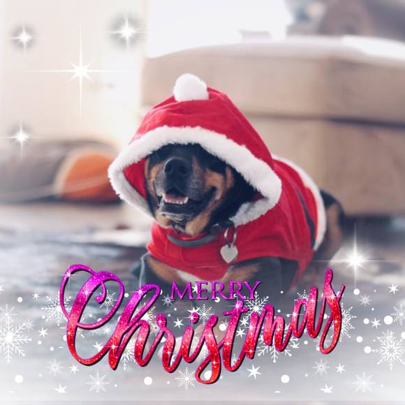 Meet your Posher, Allison - Picture 1 of 1